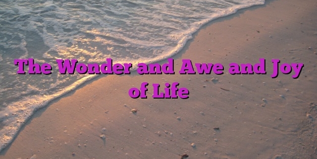 The Wonder and Awe and Joy of Life