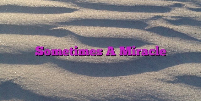 Sometimes A Miracle