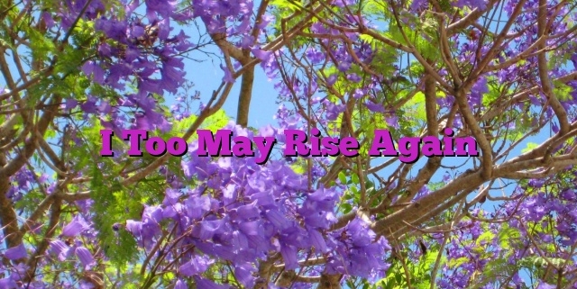 I Too May Rise Again