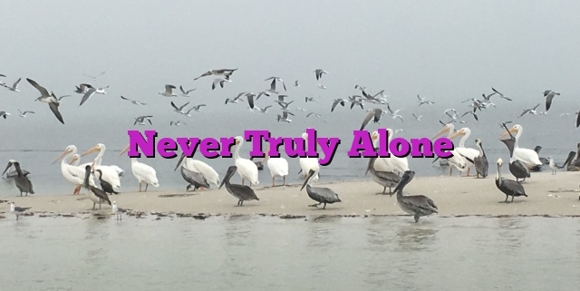 Never Truly Alone