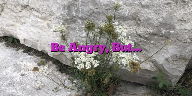 Be Angry, But…