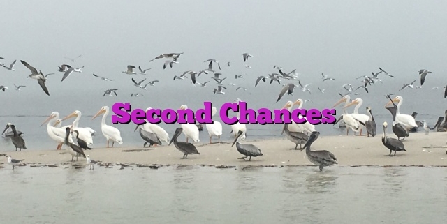 Second Chances