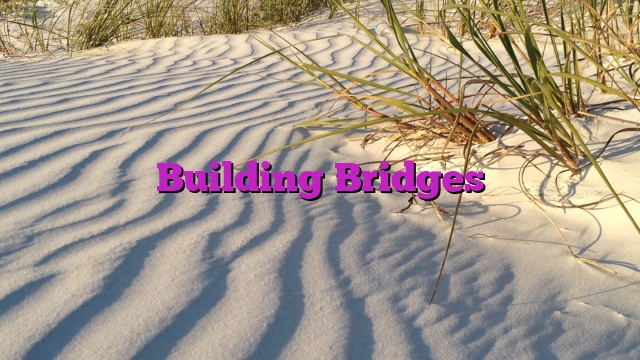 Building Bridges