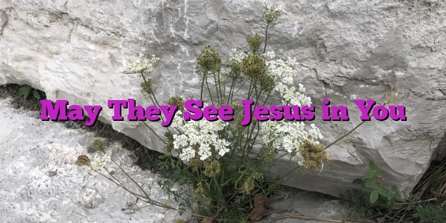 May They See Jesus in You