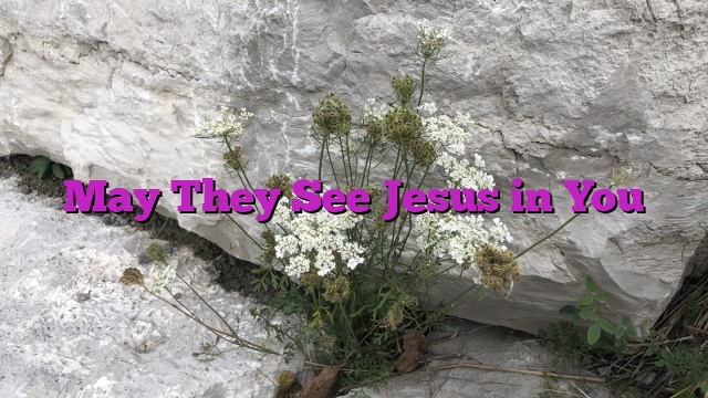 May They See Jesus in You