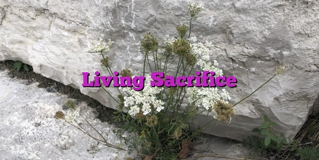 Living Sacrifice