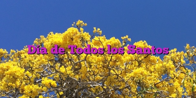 Día de Todos los Santos