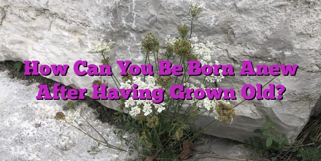 How Can You Be Born Anew After Having Grown Old?