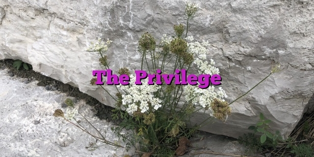 The Privilege