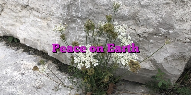 Peace on Earth