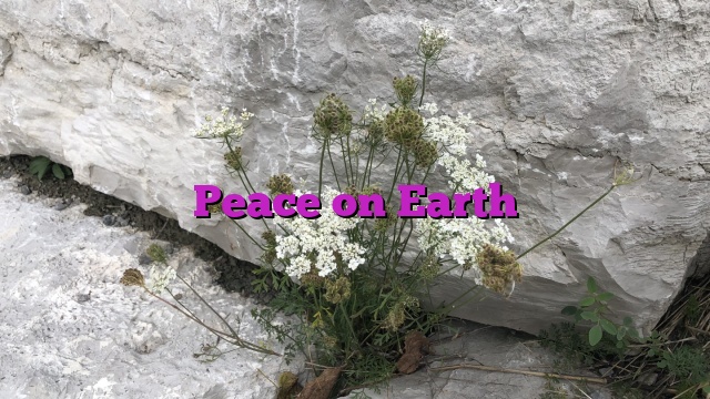 Peace on Earth