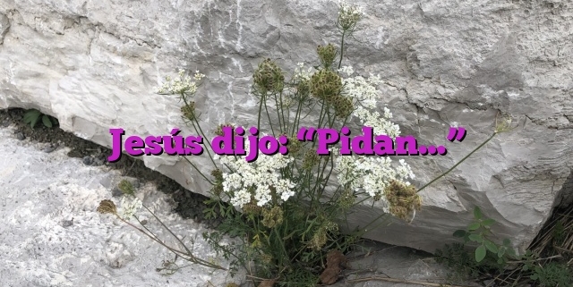 Jesús dijo: “Pidan…”