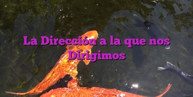 La Dirección a la que nos Dirigimos