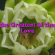 But the Greatest of these Is Love