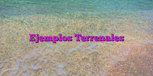 Ejemplos Terrenales