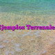 Ejemplos Terrenales