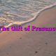 The Gift of Presence