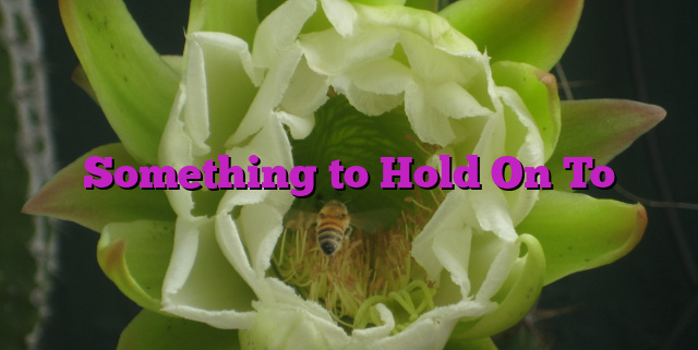 Something to Hold On To