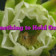 Something to Hold On To