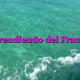 Aprendiendo del Fracaso