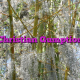 Christian Gumption