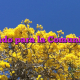 Creado para la Comunidad Creado para la Comunidad