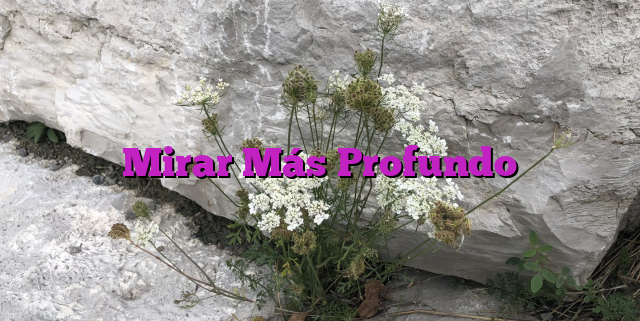 Mirar Más Profundo