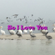 So I Love You