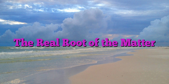 The Real Root of the Matter