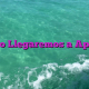 Cuándo Llegaremos a Aprender