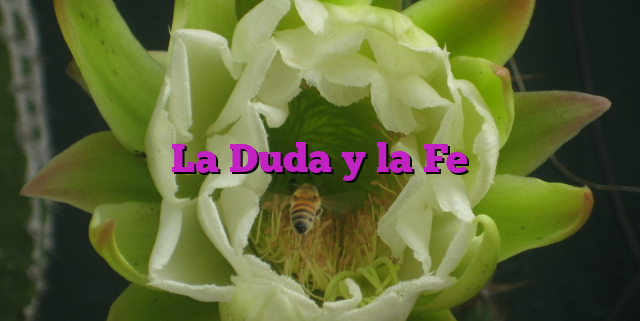 La Duda y la Fe