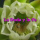 La Duda y la Fe