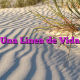 Una Línea de Vida
