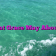 That Grace May Abound