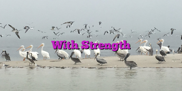 With Strength