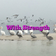 With Strength
