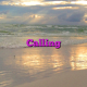 Calling