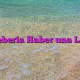 ¡Debería Haber una Ley!