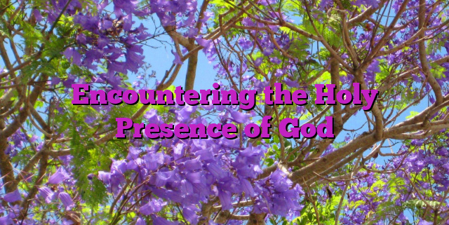Encountering the Holy Presence of God