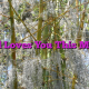 God Loves You This Much