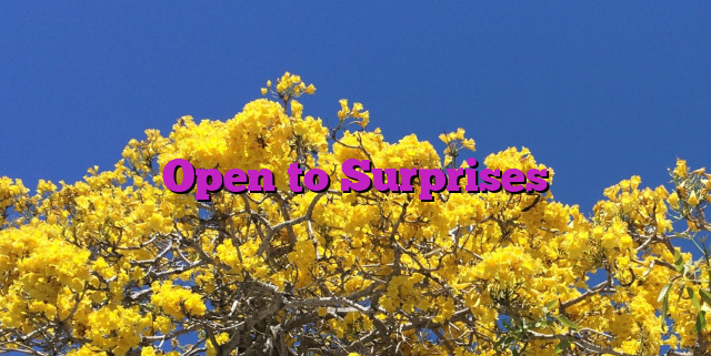 Open to Surprises