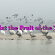 Resist the Fruit of the Tree Resist the Fruit of the Tree