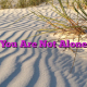 You Are Not Alone