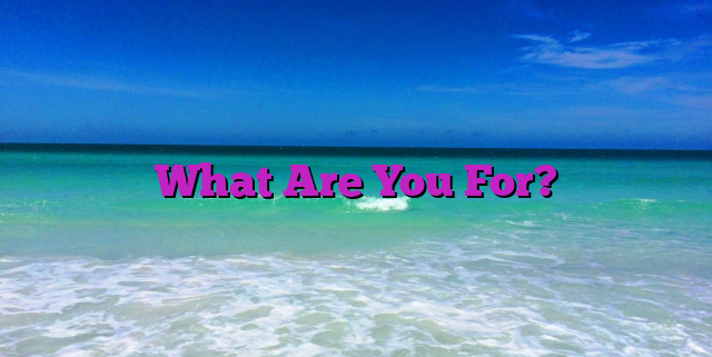 What Are You For?