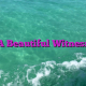 A Beautiful Witness