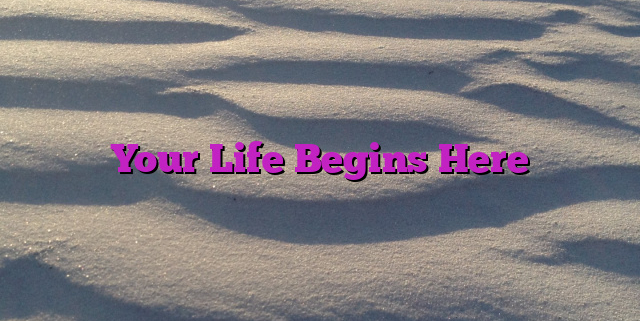 Your Life Begins Here