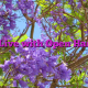 To Live with Open Hands