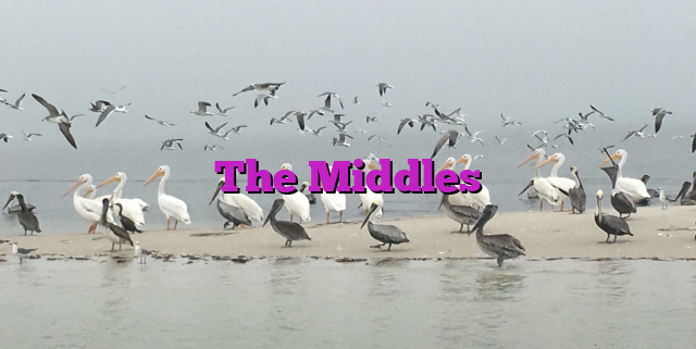 The Middles