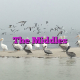 The Middles