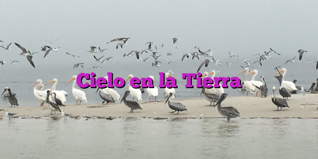 Cielo en la Tierra